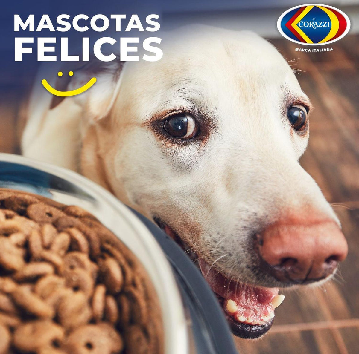Fibra Esponja Pet Bowl Corazzi Edición Mascotas 12 Paquetes - Flash Sales